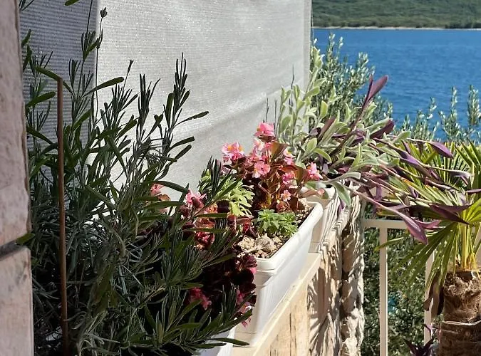 Ljiljana Appartement