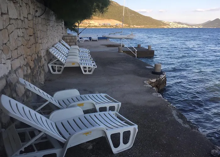 Ljiljana * 克勒克